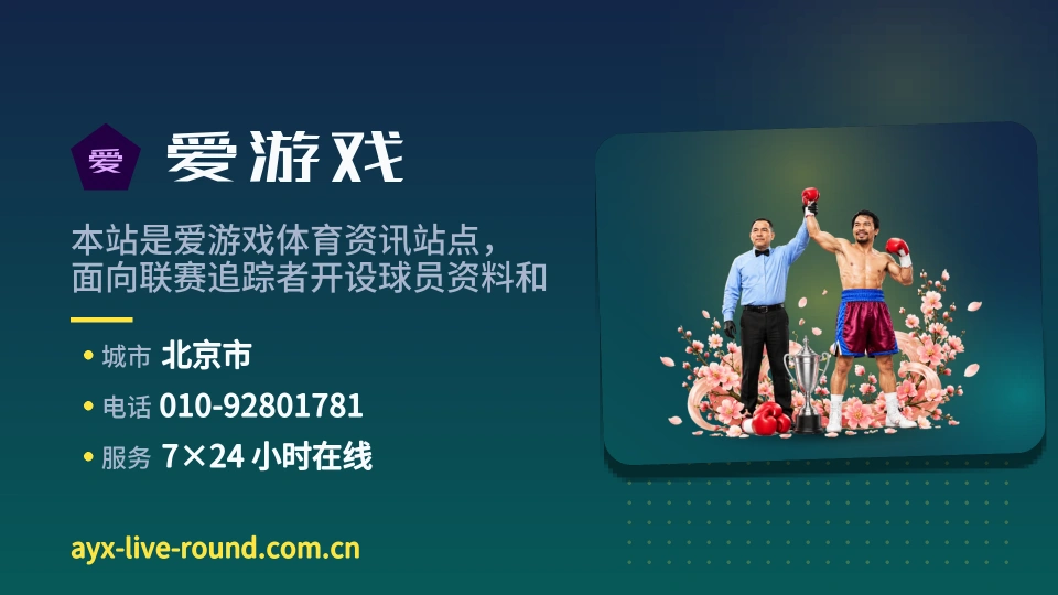 爱游戏概况